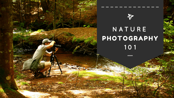 Nature Photography 101